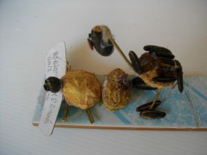 IMGP2755.JPG
