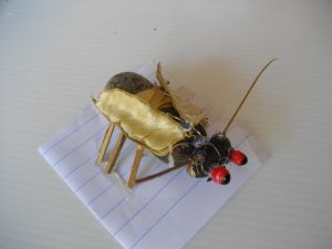 IMGP2758.JPG