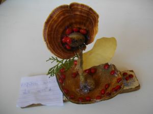 IMGP2761.JPG