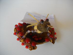 IMGP2762.JPG