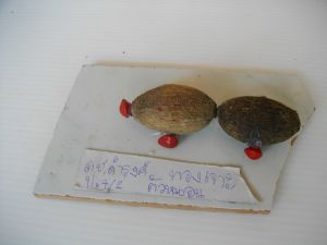 IMGP2765.JPG