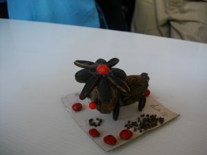 IMGP2769.JPG