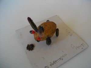 IMGP2771.JPG