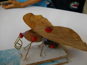 IMGP2773.JPG