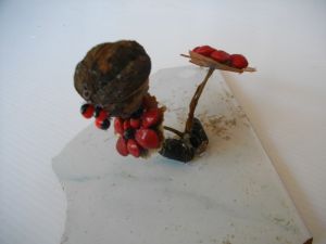 IMGP2775.JPG