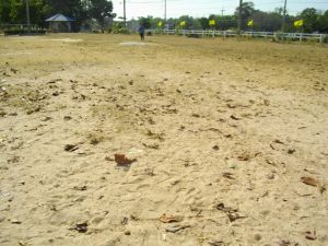 IMGP2807.JPG