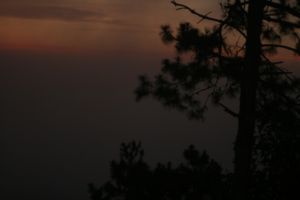 IMG_7226.JPG
