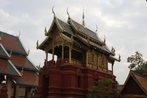 _MG_6985.JPG