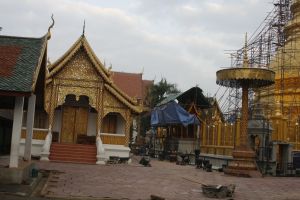 _MG_6986.JPG