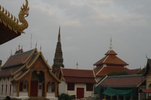 _MG_6988.JPG