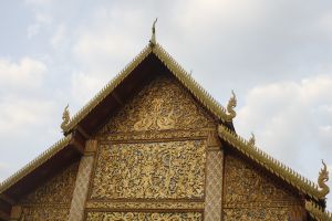 _MG_6990.JPG