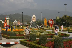 _MG_7025.JPG