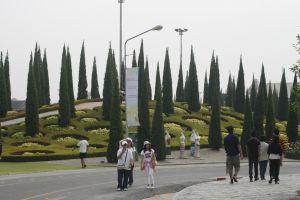 _MG_7064.JPG