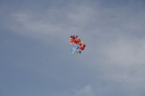 _MG_9622.JPG