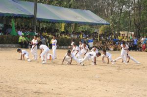 _mg_0717.jpg