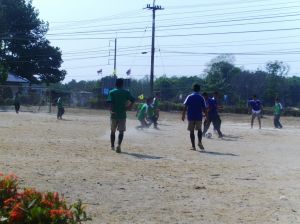 pic_0687.jpg