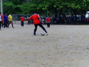 pic_0766.jpg