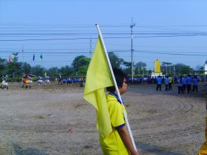 pic_0916.jpg