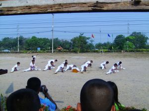pic_0951.jpg