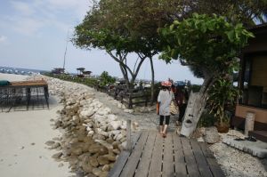 img_1377.jpg