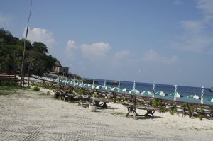 img_1378.jpg