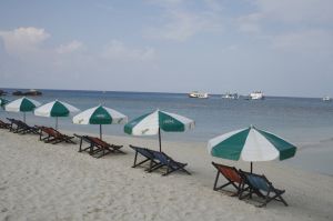 img_1382.jpg