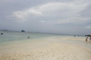 img_1410.jpg