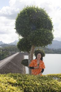 img_1488.jpg