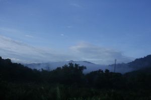 img_1502.jpg