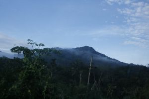 img_1506.jpg