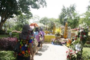img_1520.jpg