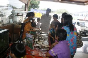 img_1526.jpg
