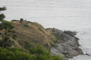 img_1543.jpg
