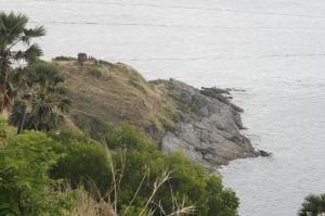 img_1544.jpg