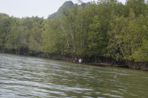 img_1582.jpg
