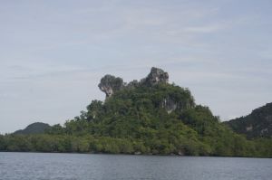 img_1593.jpg