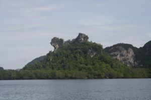 img_1594.jpg