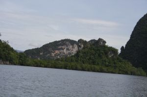 img_1595.jpg