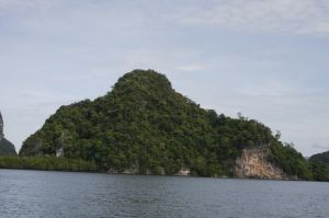 img_1596.jpg
