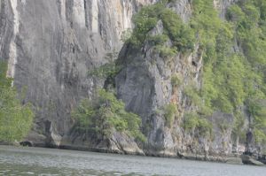 img_1600.jpg