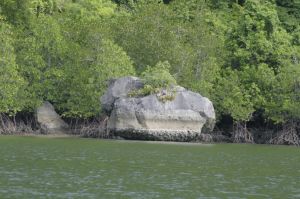 img_1601.jpg