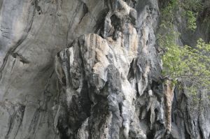 img_1612.jpg