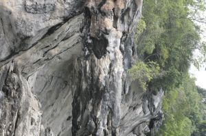 img_1613.jpg