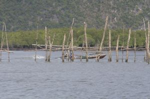img_1623.jpg