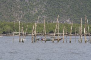 img_1624.jpg