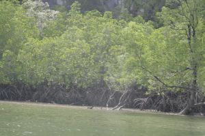 img_1625.jpg