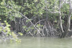 img_1628.jpg