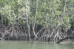 img_1629.jpg