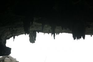 img_1635.jpg