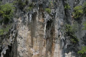 img_1644.jpg